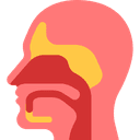 🩺 ENT Consultation